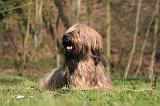 BRIARD 081
